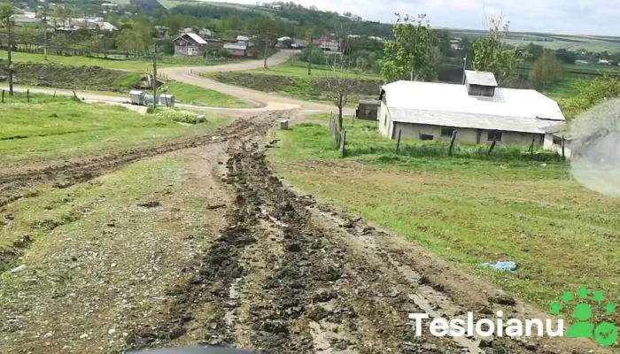 Știubieni - Știubieni