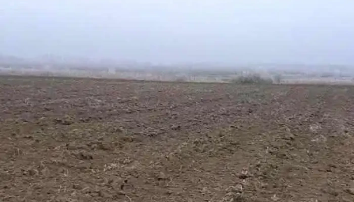 Șuțești - Șuțești